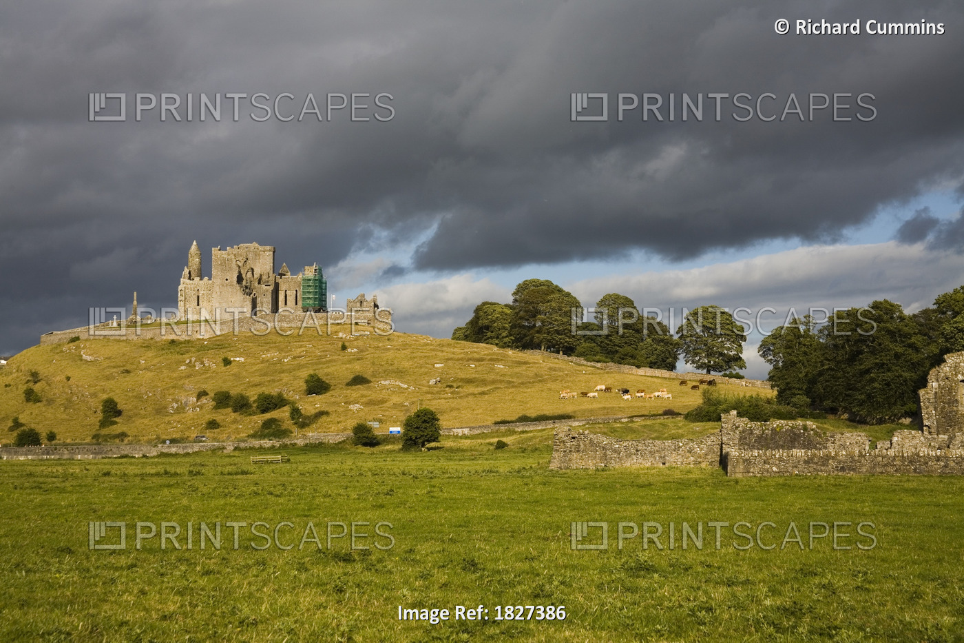 Rock Of Cashel, Cashel, County Tipperary, Ireland; Castle On Hill And Abbey ...