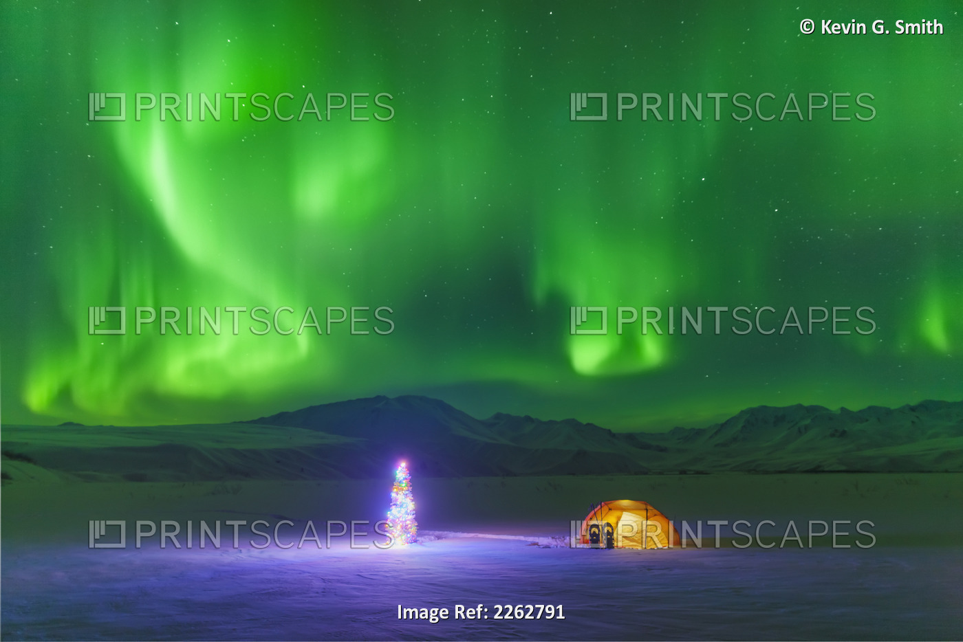 The Northern Lights Glow In The Sky Above A Backpacking Tent And Christmas Tree ...