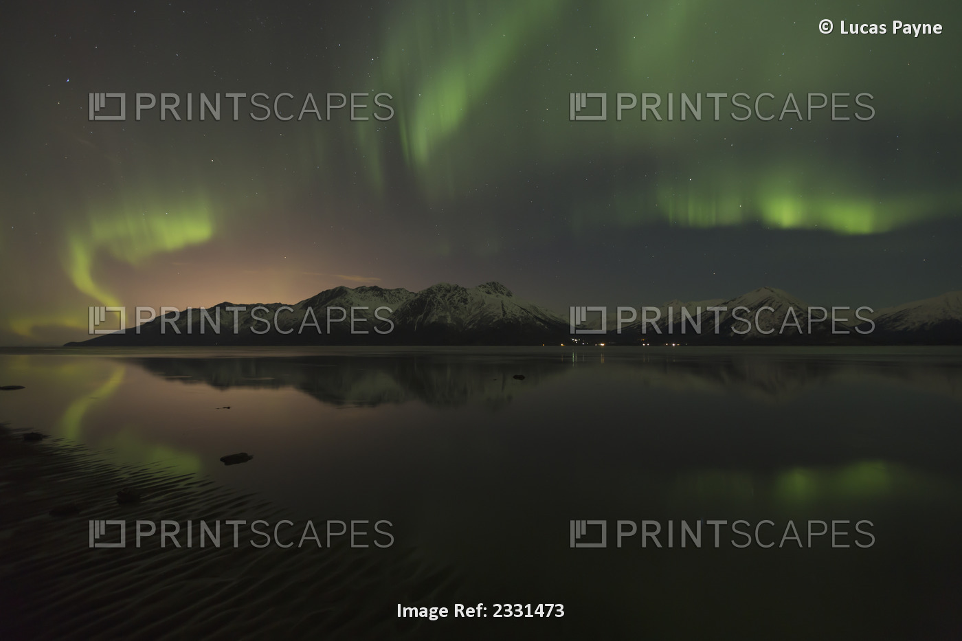 View of the Aurora Borealis (Northern Lights) dancing above the Chugach ...