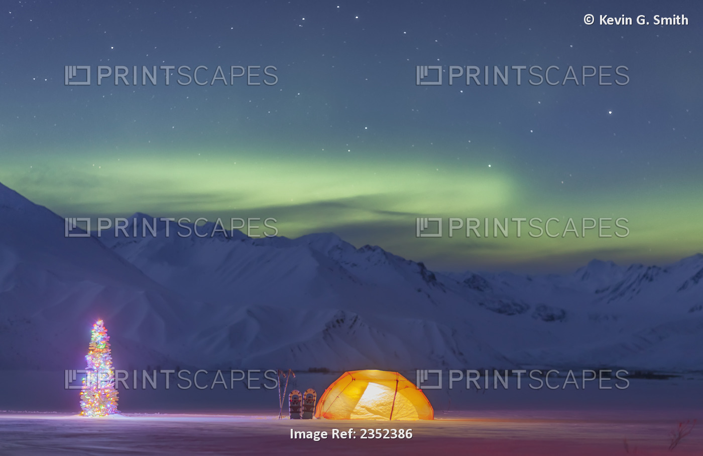 A Backpacking Tent Lit Up At Twilight With A Christmas Tree Next To It, Alaska ...