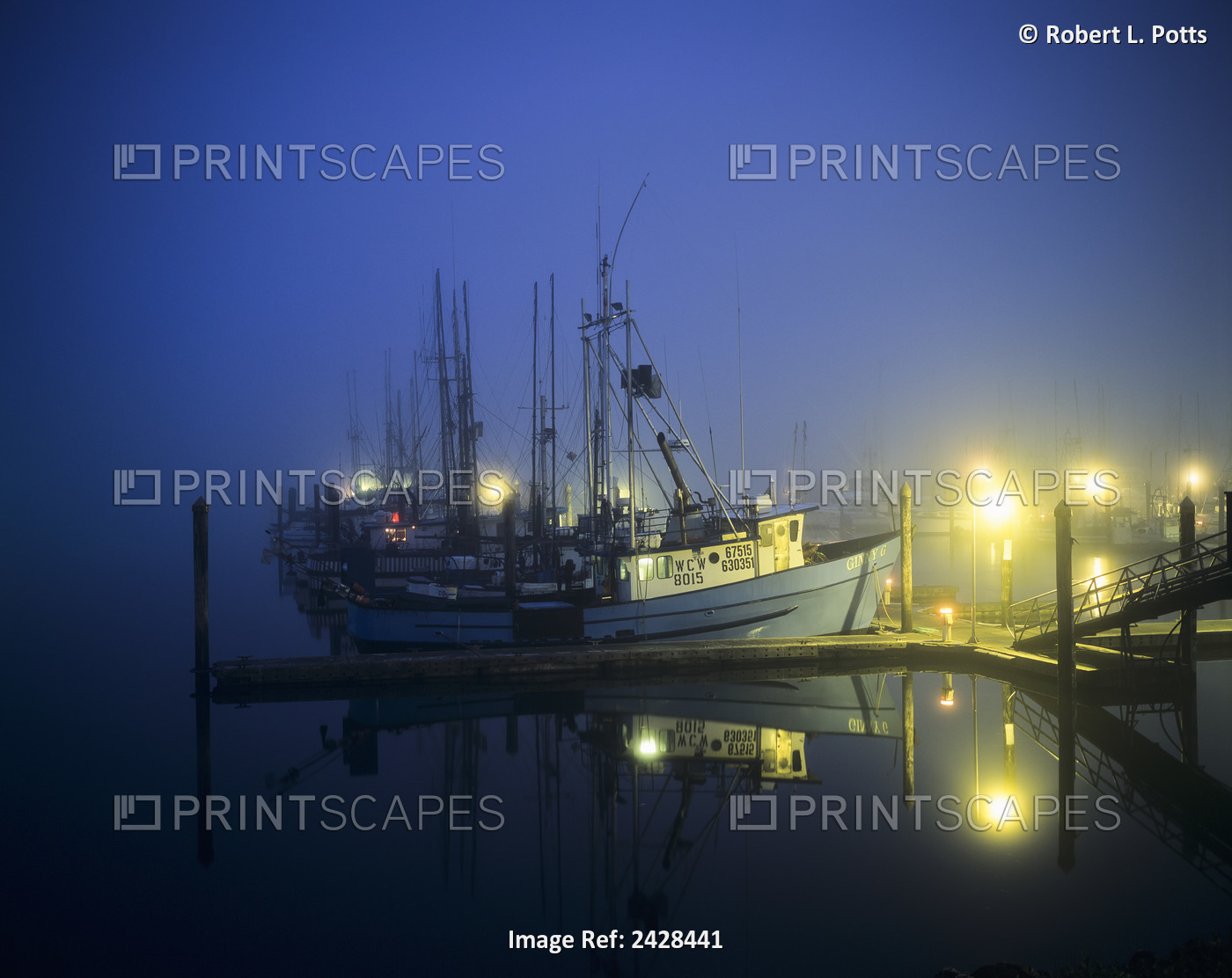 The Docks Are Lit Before Daylight; Charleston, Oregon, United States Of America