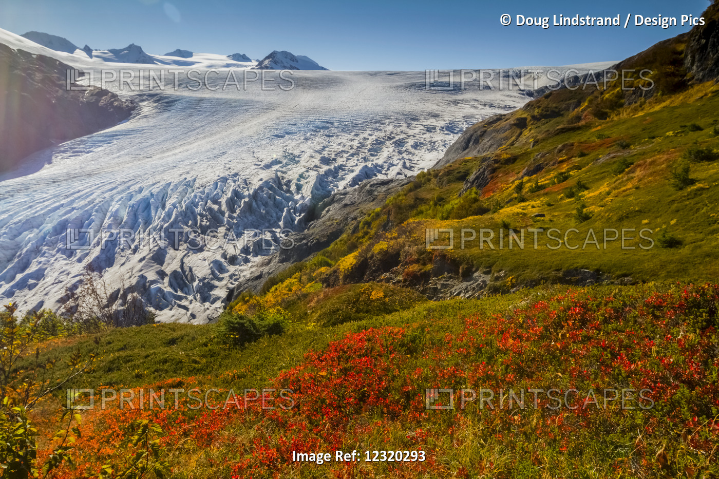 Exit Glacier Near Seward, Alaska In South-Central Alaska In Autumn; Alaska, ...