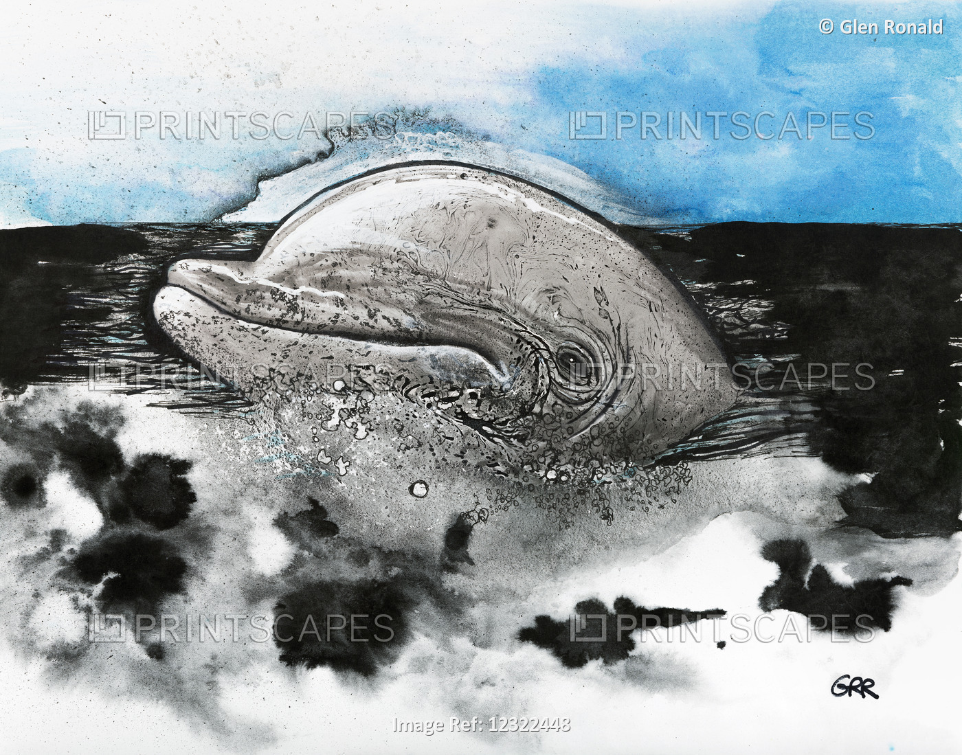 Illustration Of A Whale's Head Emerging From The Surface Of The Ocean Water ...