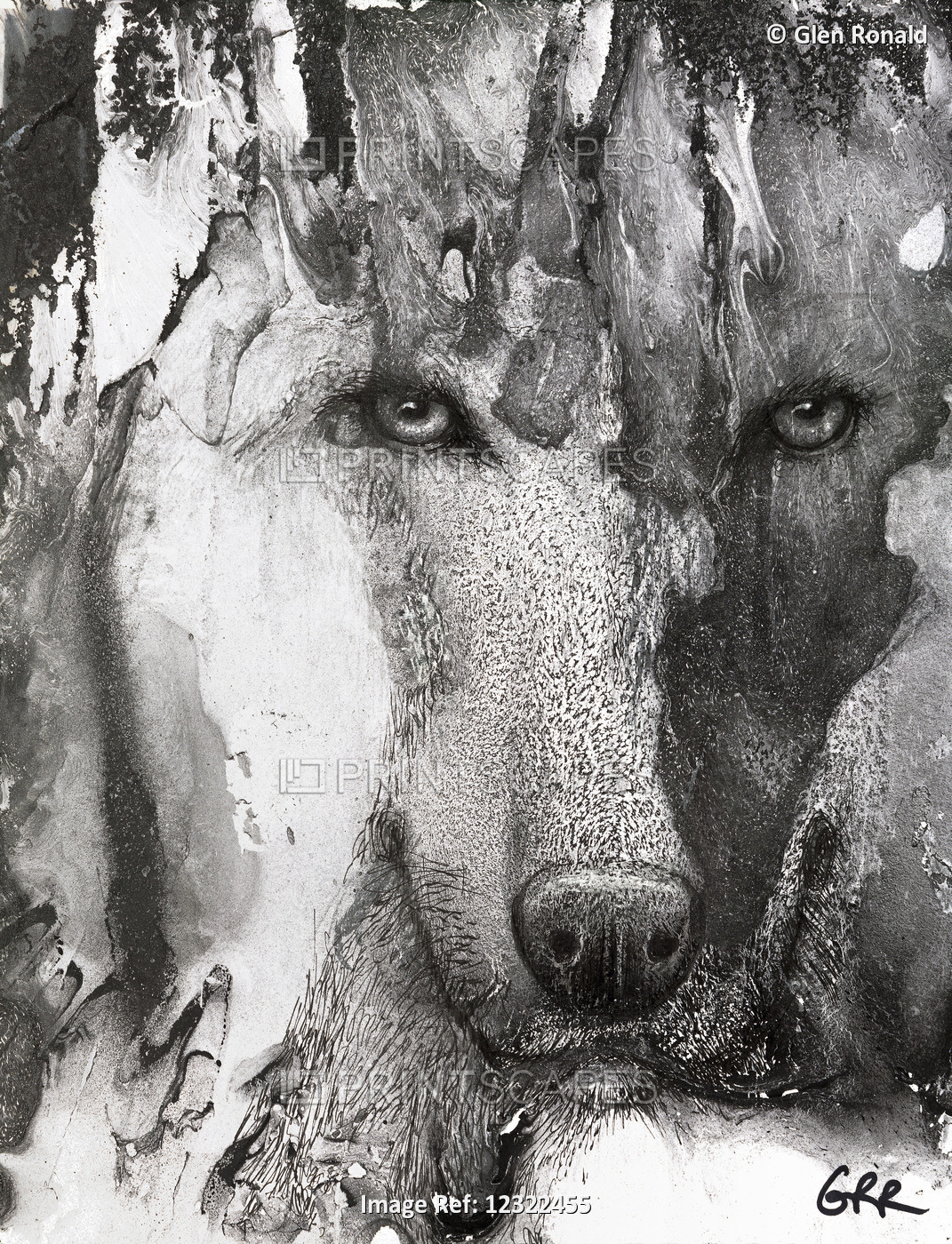 Lone Wolf, Black and White Artwork Of A Wolf's Face