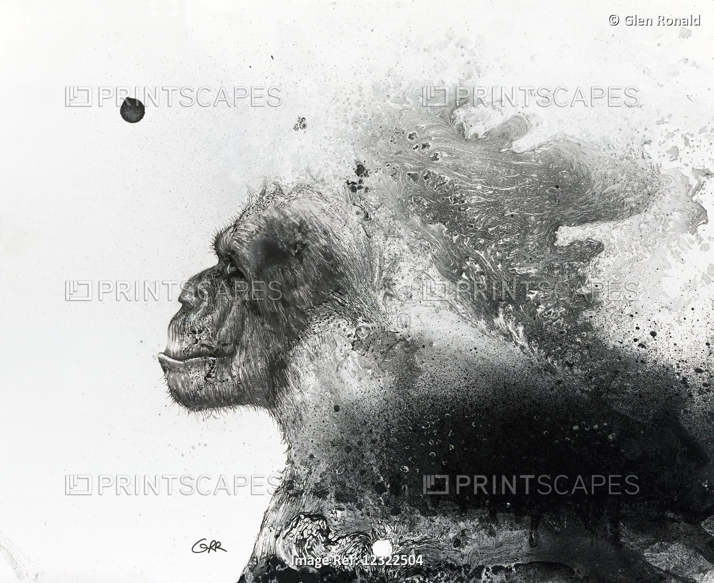 Mist and Mystery, Black and White Artwork Of The Profile Of A Primate