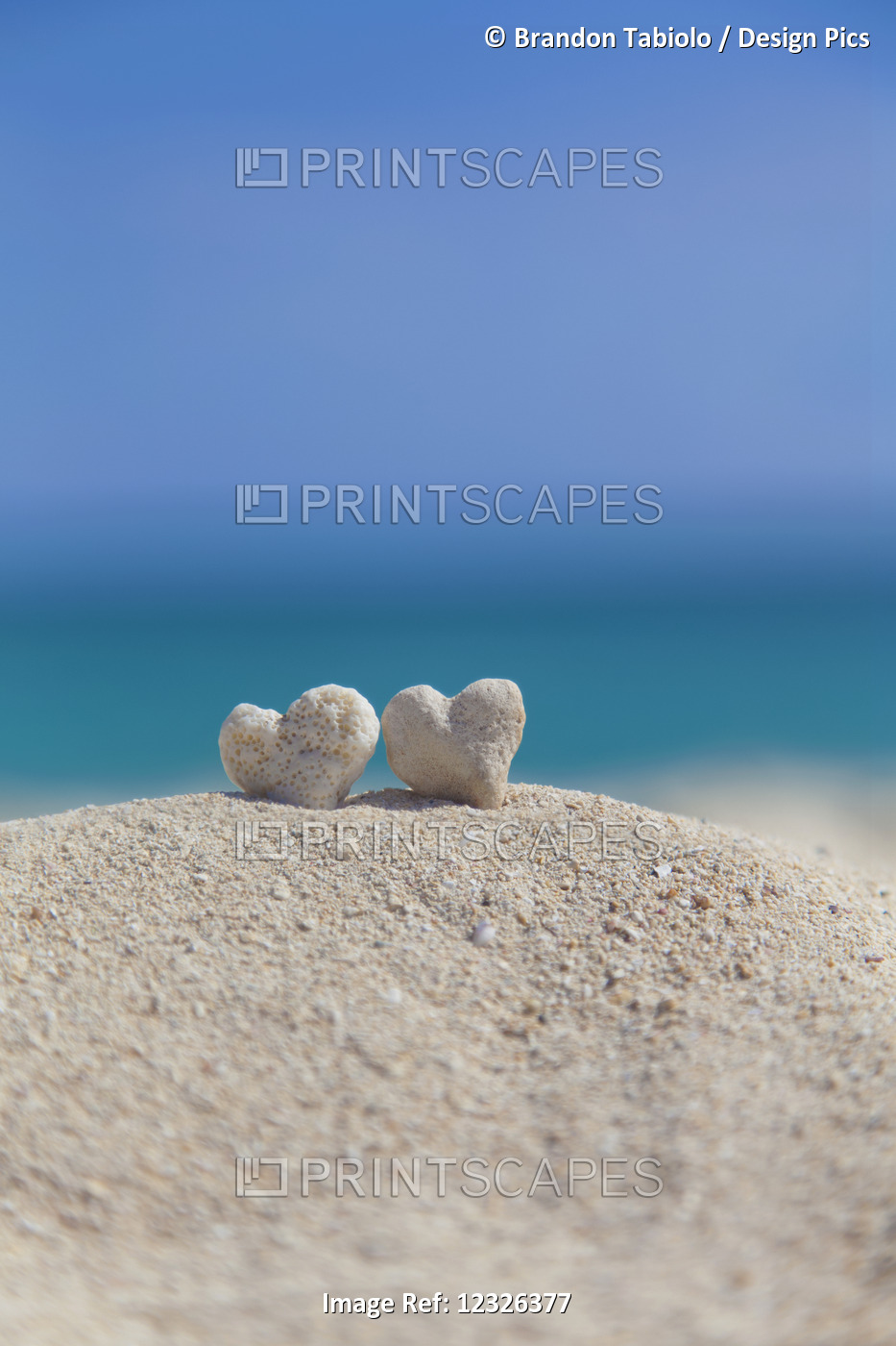 Two White Heart Shaped Coral Rocks Placed Together On Sand At The Beach; ...