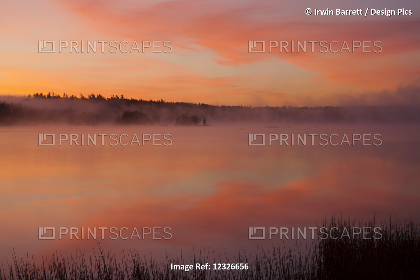 Misty Autumn Morning At Millers Lake; Nova Scotia, Canada