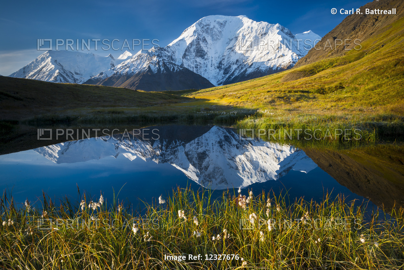 Scenic View Of Mt. Moffit Reflected In A Kettle Pond, Alaska Range, Interior ...