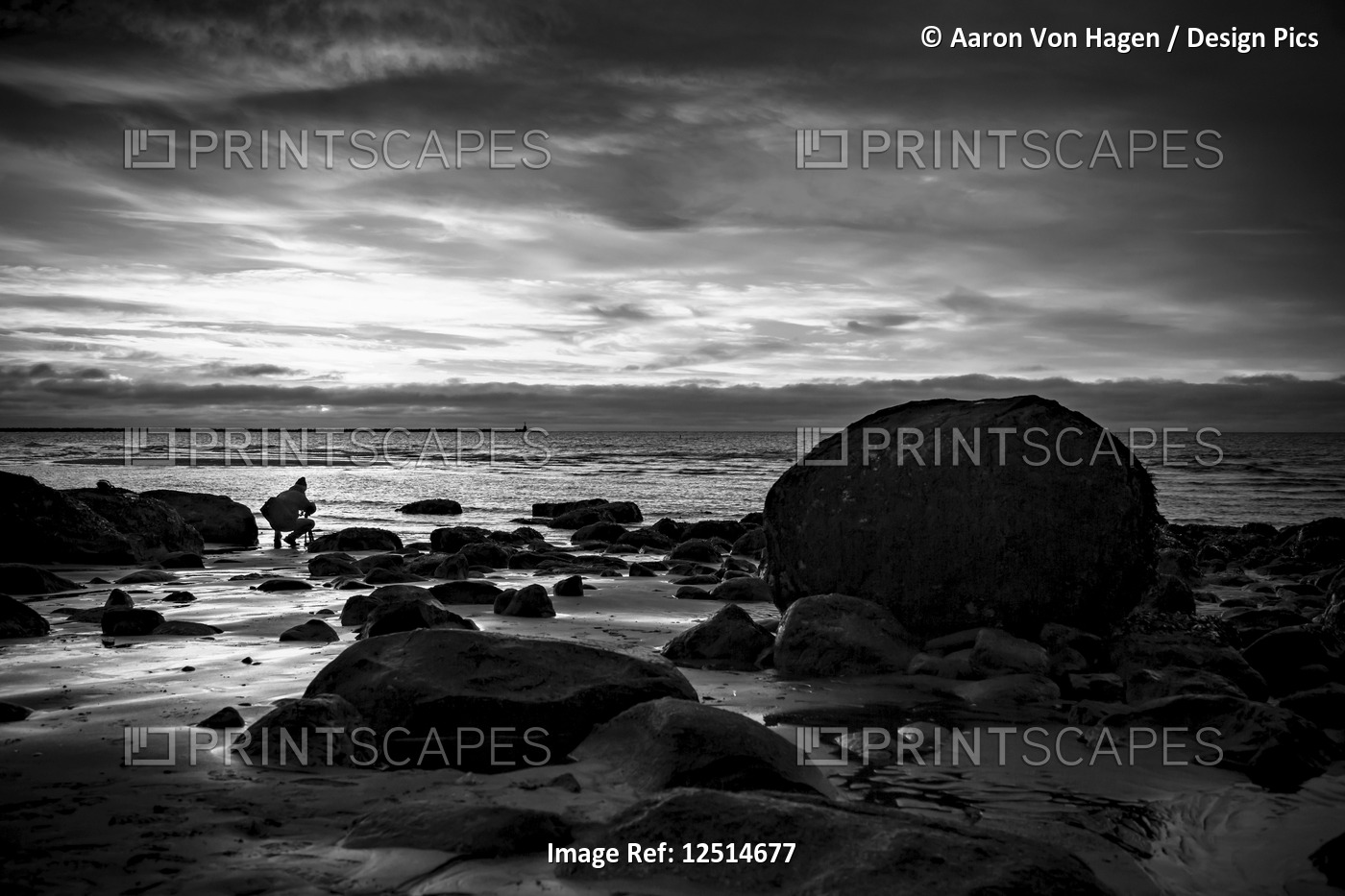 Black and white image of Wreck Beach at sunset; Vancouver, British Columbia, ...