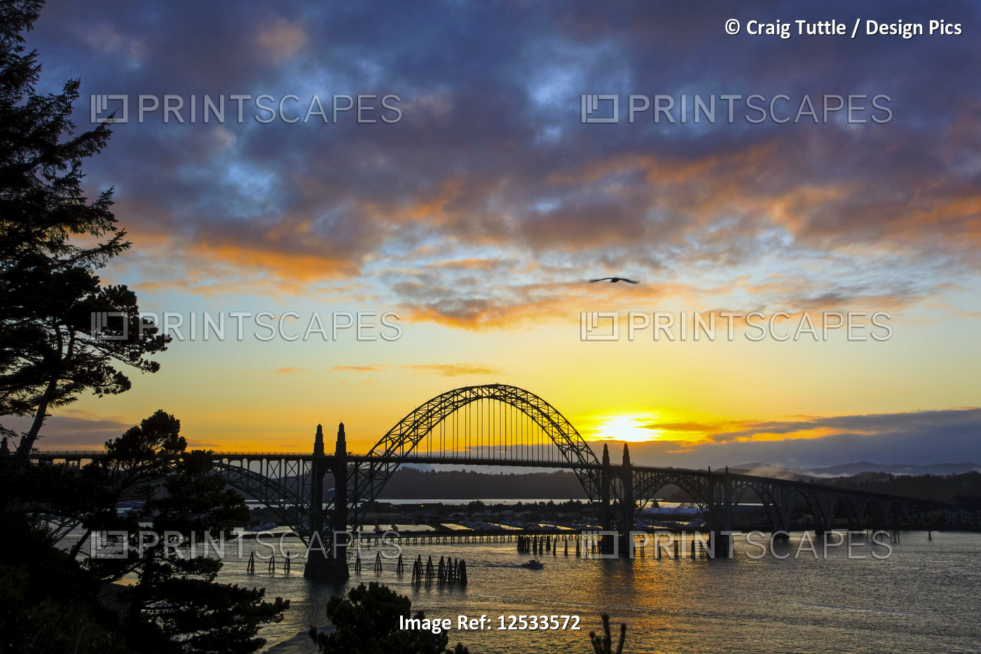 Sunrise over Yaquina Bay Bridge; Newport, Oregon, United States of America