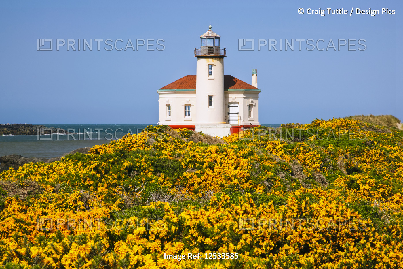 Wildflowers add beauty to Coquille River Light, Bandon Beach; Oregon, United ...