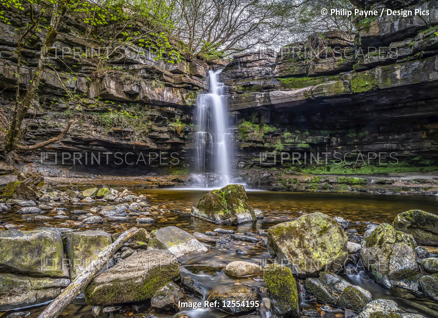 Summerhill Force is a picturesque waterfall in a wooded glade in Upper ...