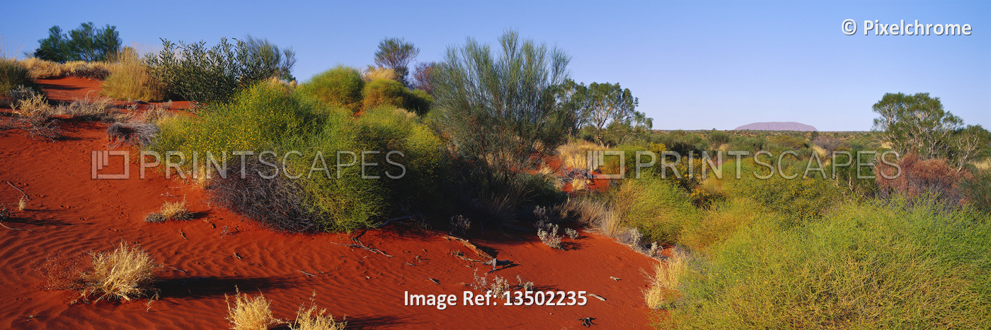 
Dune and Ayers Rock
Northern Territory, Australia


