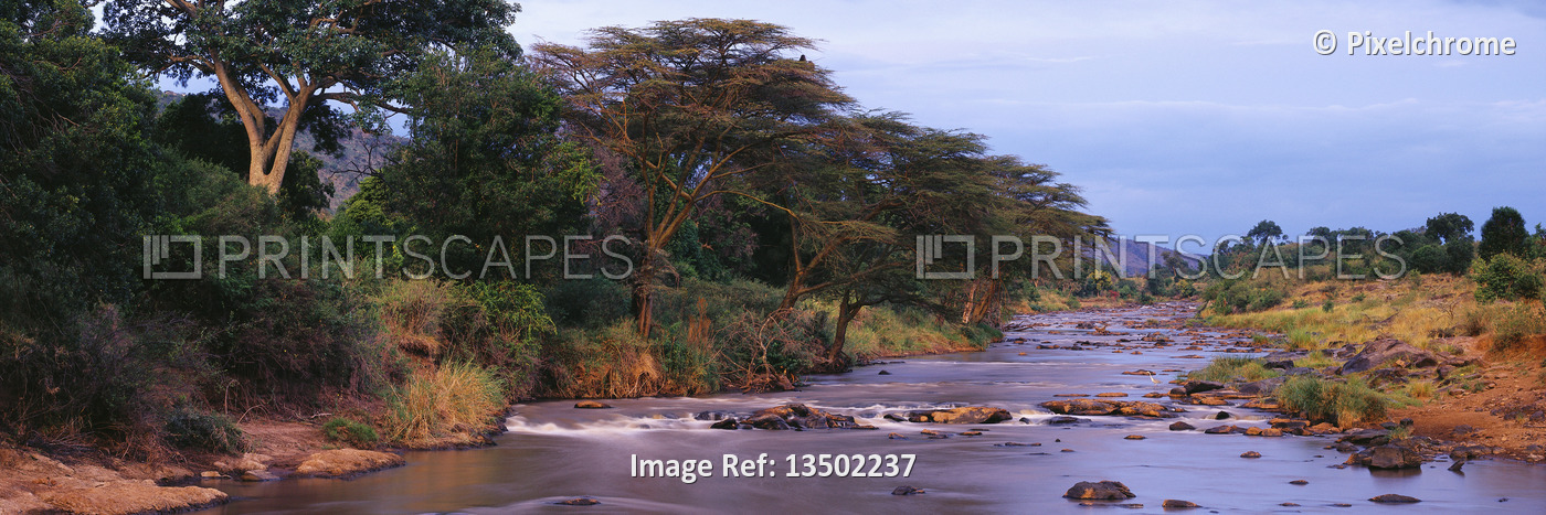
Mara River
Masai Mara, Kenya, Africa


