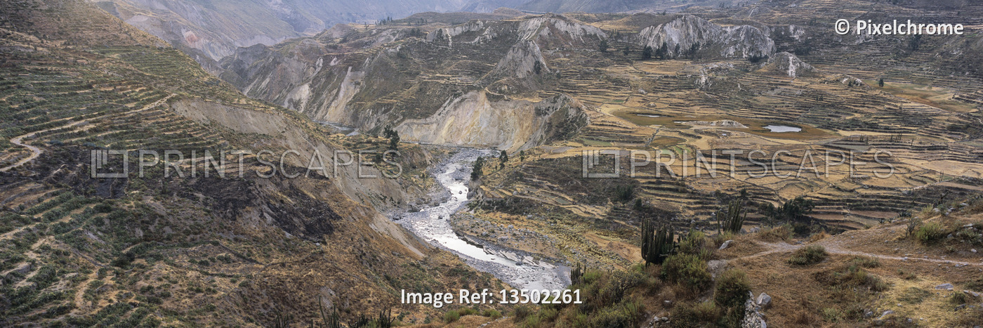 
Terraced Landscape
Colca Canyon, Peru


