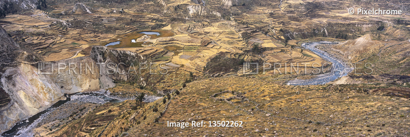 
Terraced Landscape
Colca Canyon, Peru


