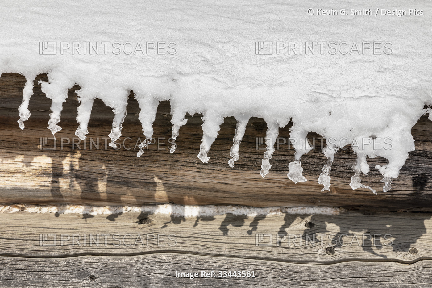 Detail photograph of melting snow hanging from the eave of a log cabin on a ...