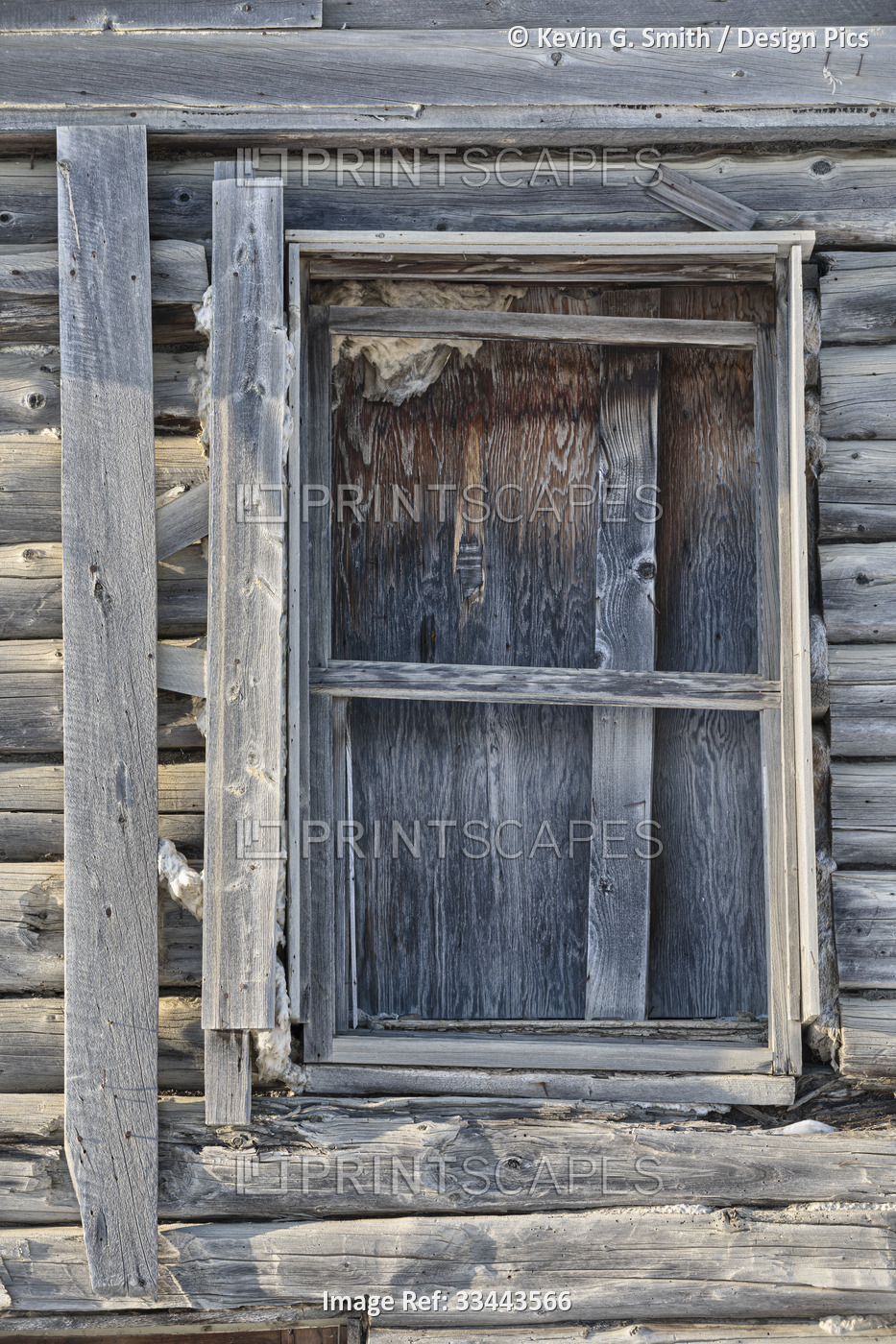 Window detail from a weathered log cabin in winter; Nulato, Interior Alaska, ...