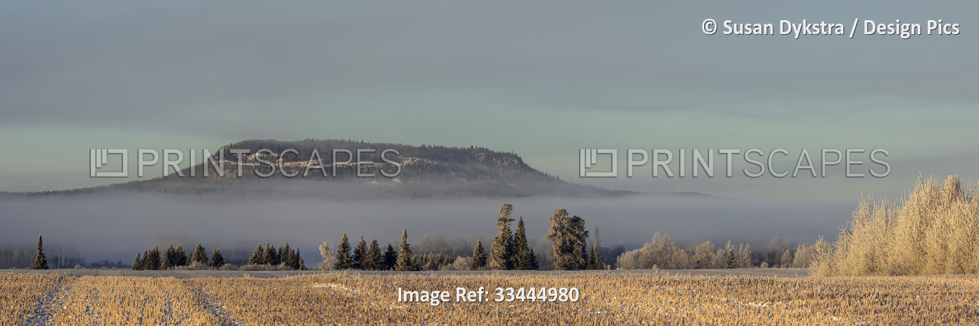 Fog and low cloud resting over frosty landscape; Thunder Bay, Ontario, Canada