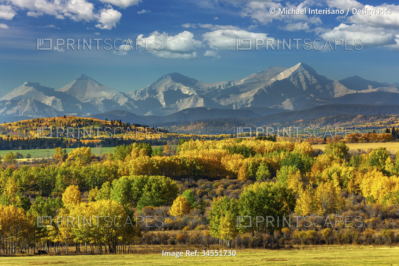 Mountain range with colourful covered treed foothills in the fall with blue sky ...
