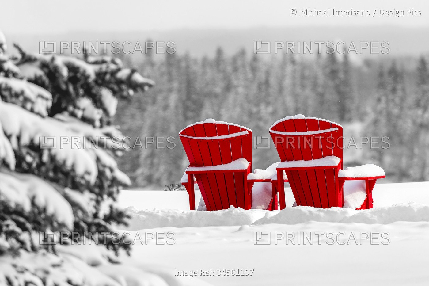 Two brightly coloured red Adirondack chairs snow-covered, against a ...